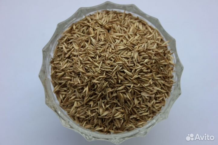 Семена ежа сборная