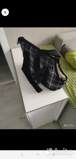 Переноски и аксессуары для собак