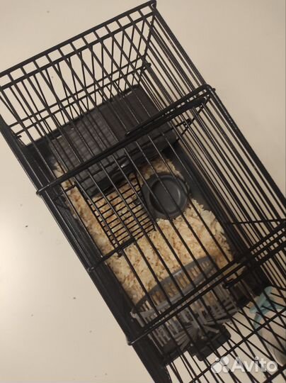 Клетка для грызунов бесплатно отдам