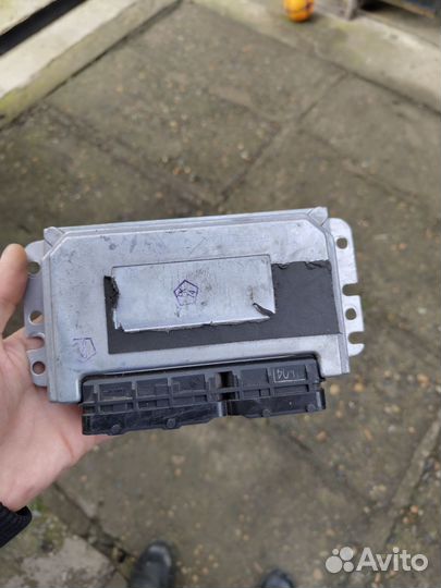 Эбу январь 7 2