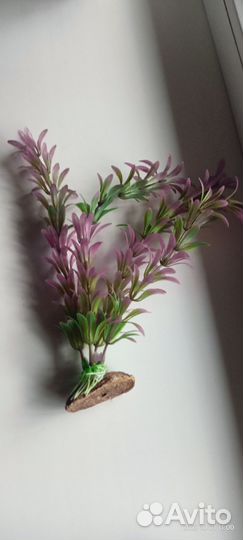 Искусственные растения