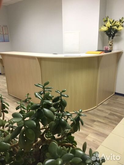 Стойка ресепшн. Доставим завтра