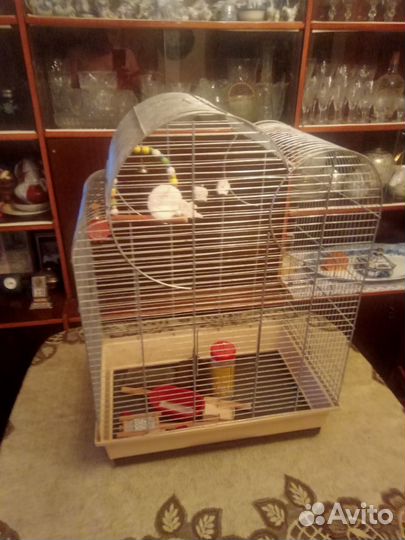 Клетка для крупного попугая