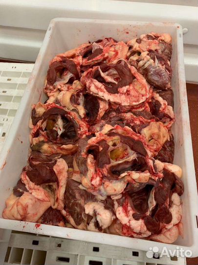 Обрезь сердца говяжьего