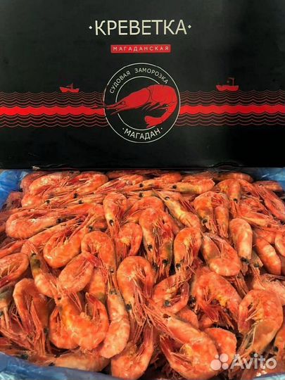 Креветка Северная