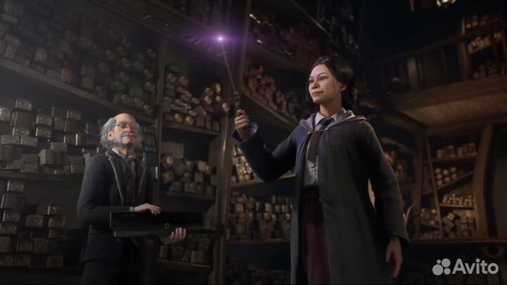 Hogwarts legacy deluxe edition (Steam)