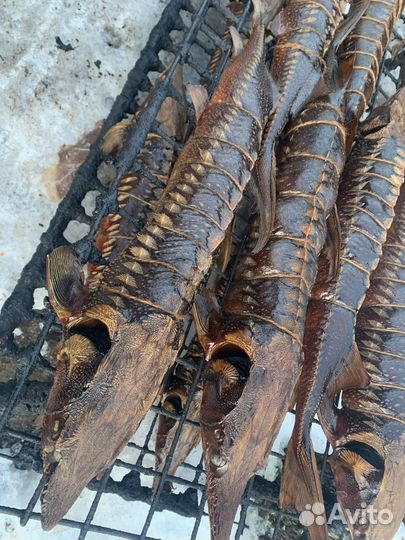 Рыба горячего копчения