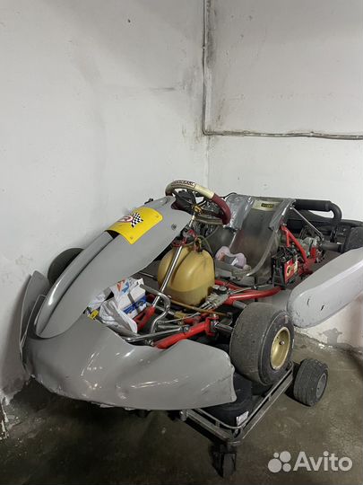 Rotax картинг