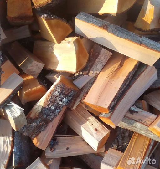 Дрова береза