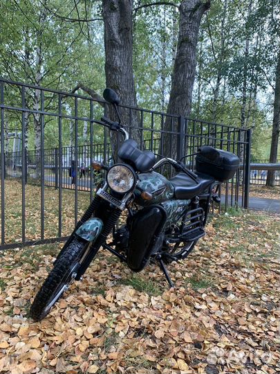 Alpha RX11 LUX