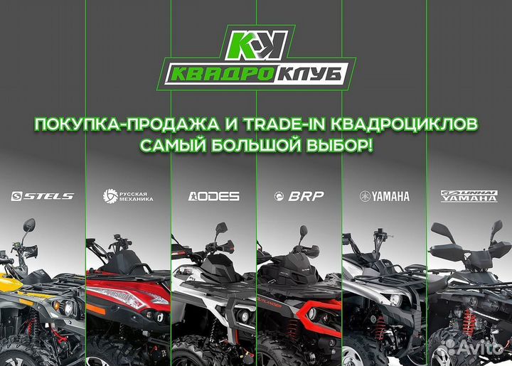 Квадроцикл promax wild 175 LUX