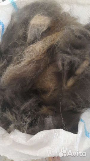 Пух вычесанный (тибетского мастифа)