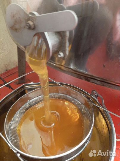 Мёд Разнотравье светлое оптом