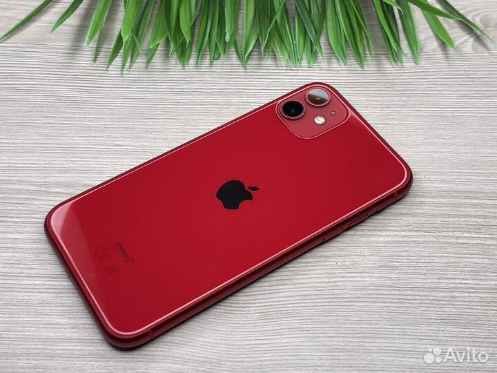 iPhone 11 64GB Red