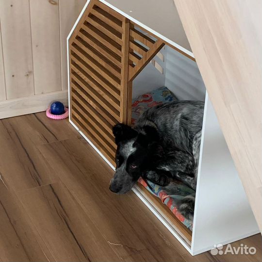 Вольер для Собак