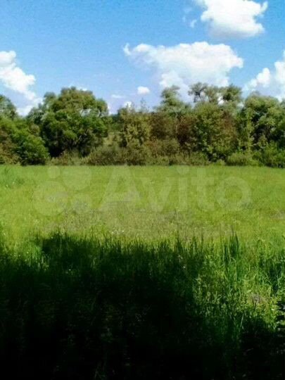 Дом 56 м² на участке 50 сот.