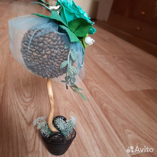 Топиарий из кофейных зерен денежное дерево