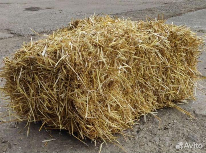 Солома в тюках в Дмитрове