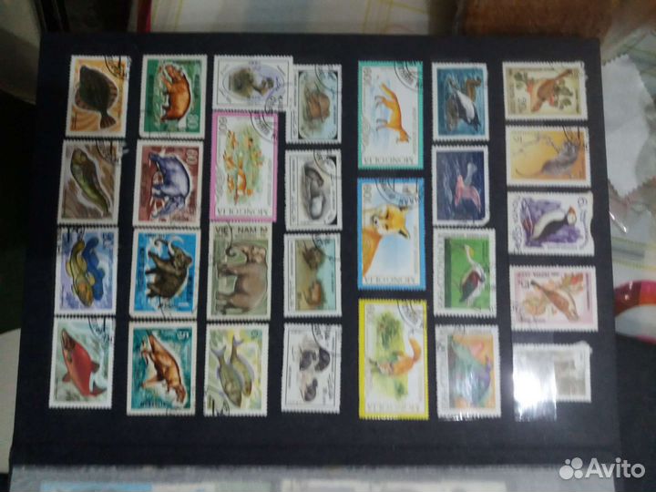 Почтовые марки СССР