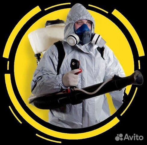 Дезинсекция