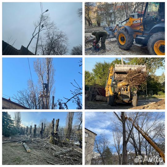 Спил деревьев,снос домов,расчистка участков