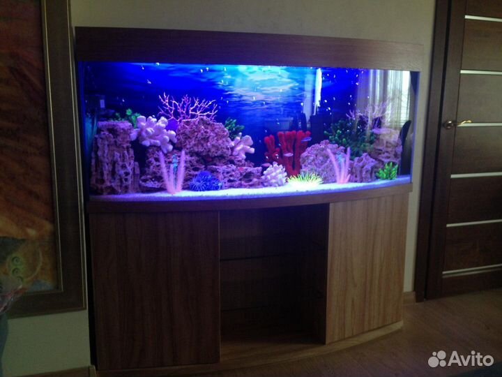 Обслуживание аквариума