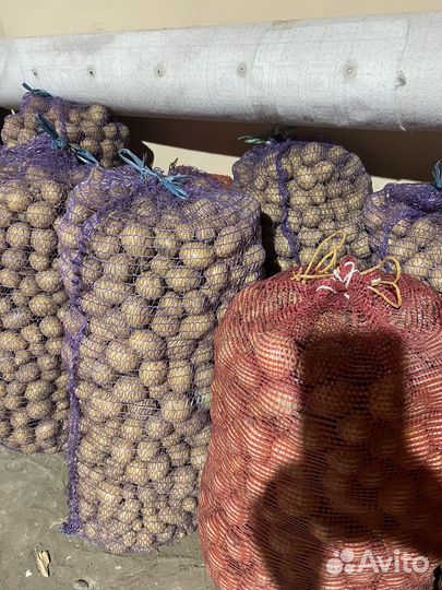 Картофель мелкий