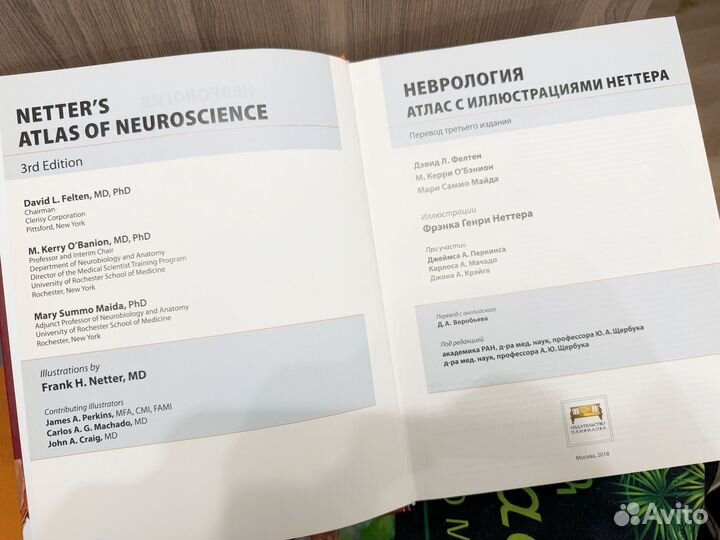Атлас Неттера по неврологии