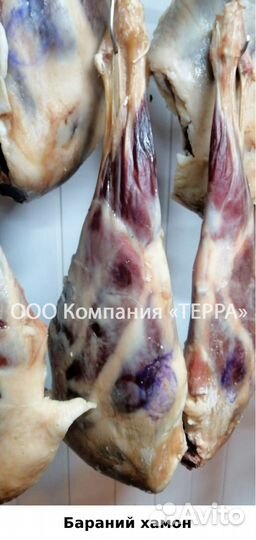 Копченые гуси