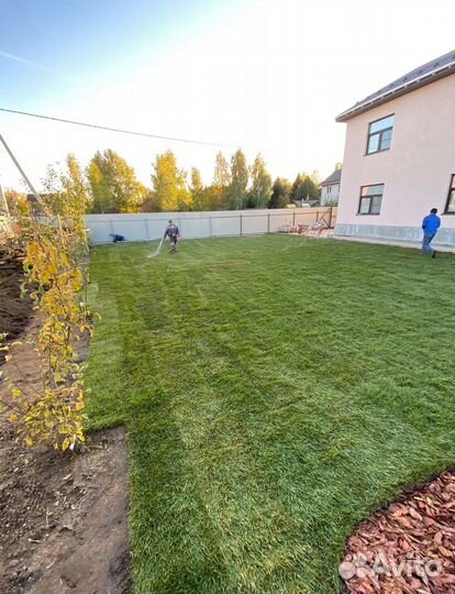 Рулонный газон / под ключ