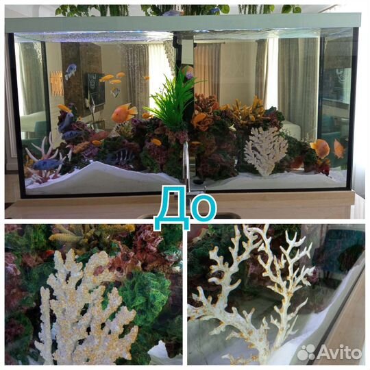 Чистка аквариума выезд