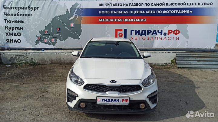 Проводка подсветки номера Kia Cerato 4