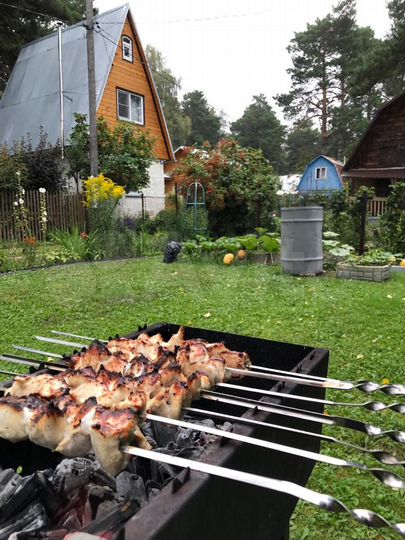 Дача 50 м² на участке 4 сот.