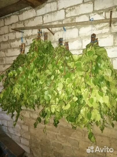 Березовые веники