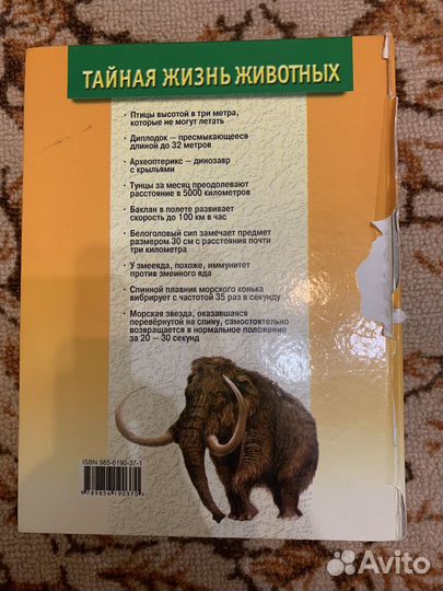 Детская энциклопедия