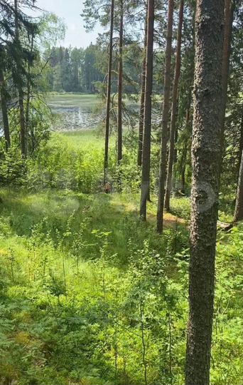 Участок 10 сот. (ИЖС)