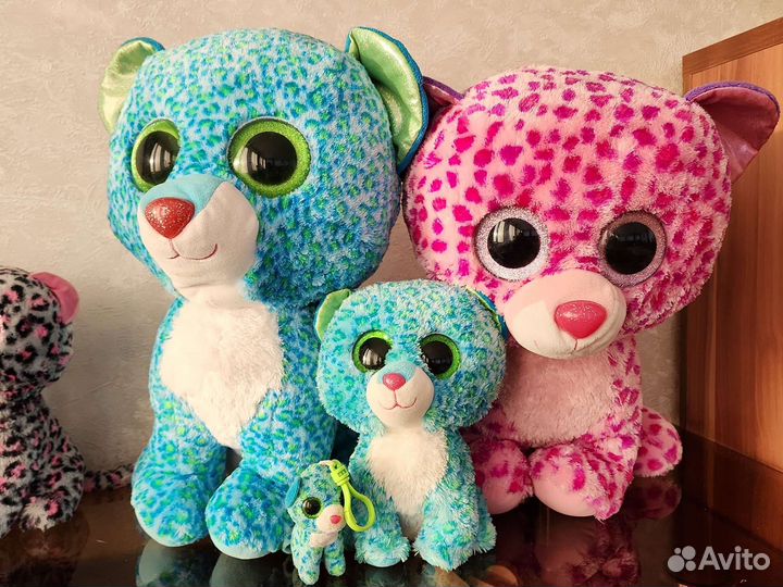 Котики из коллекции TY beanie