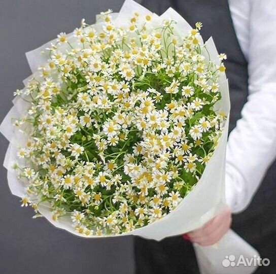 Доставка цветов. Ромашки