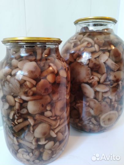 Грибы опята консервированные