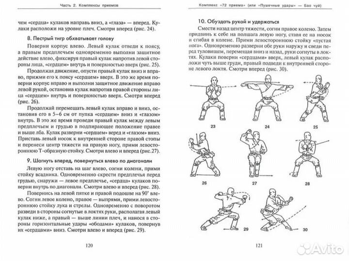 Боевое искусство Шаолиня