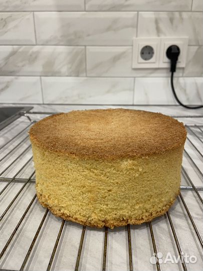 Заготовка для торта бисквит