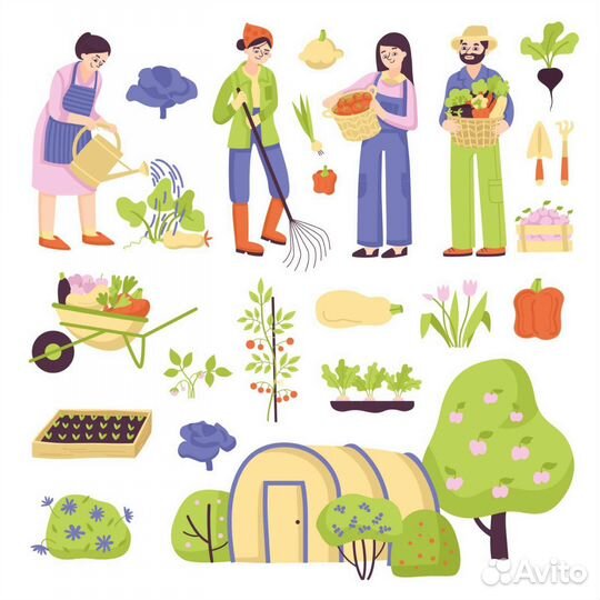 Требуется работники в питомник растений