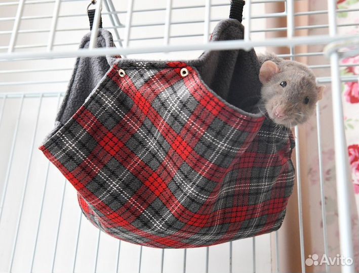 Гамак для крыс