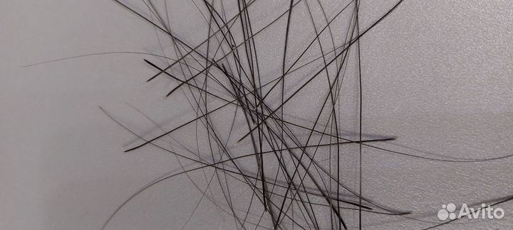 Усы кота мейн куна