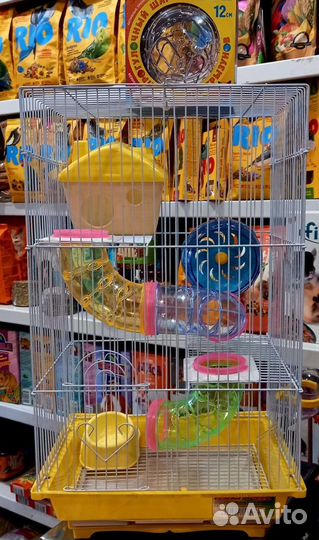 Хомяки-разноцветные окрасы