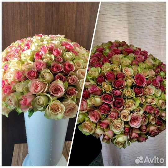 Розы 31/51/101/201 Саранск предзаказ