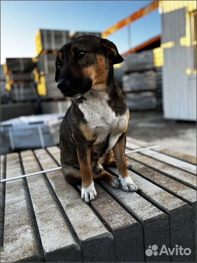 Тротуарная плитка с доставкой от 120 м2