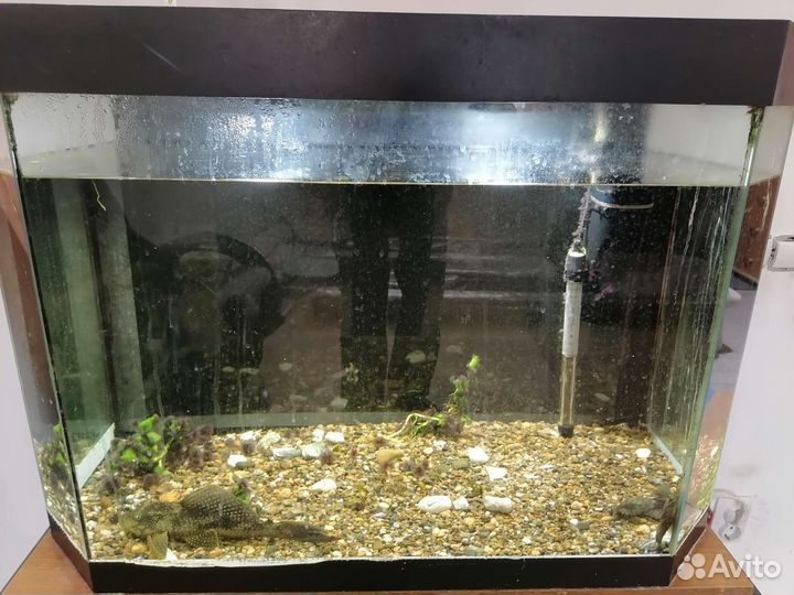 Аквариум 200 литров с тумбой