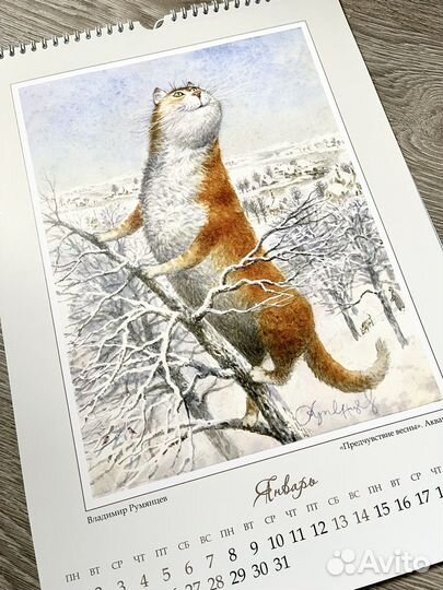 Календарь 2024 Питерские коты (Владимир Румянцев)