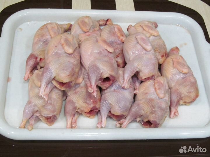 Мясо домашних перепелов